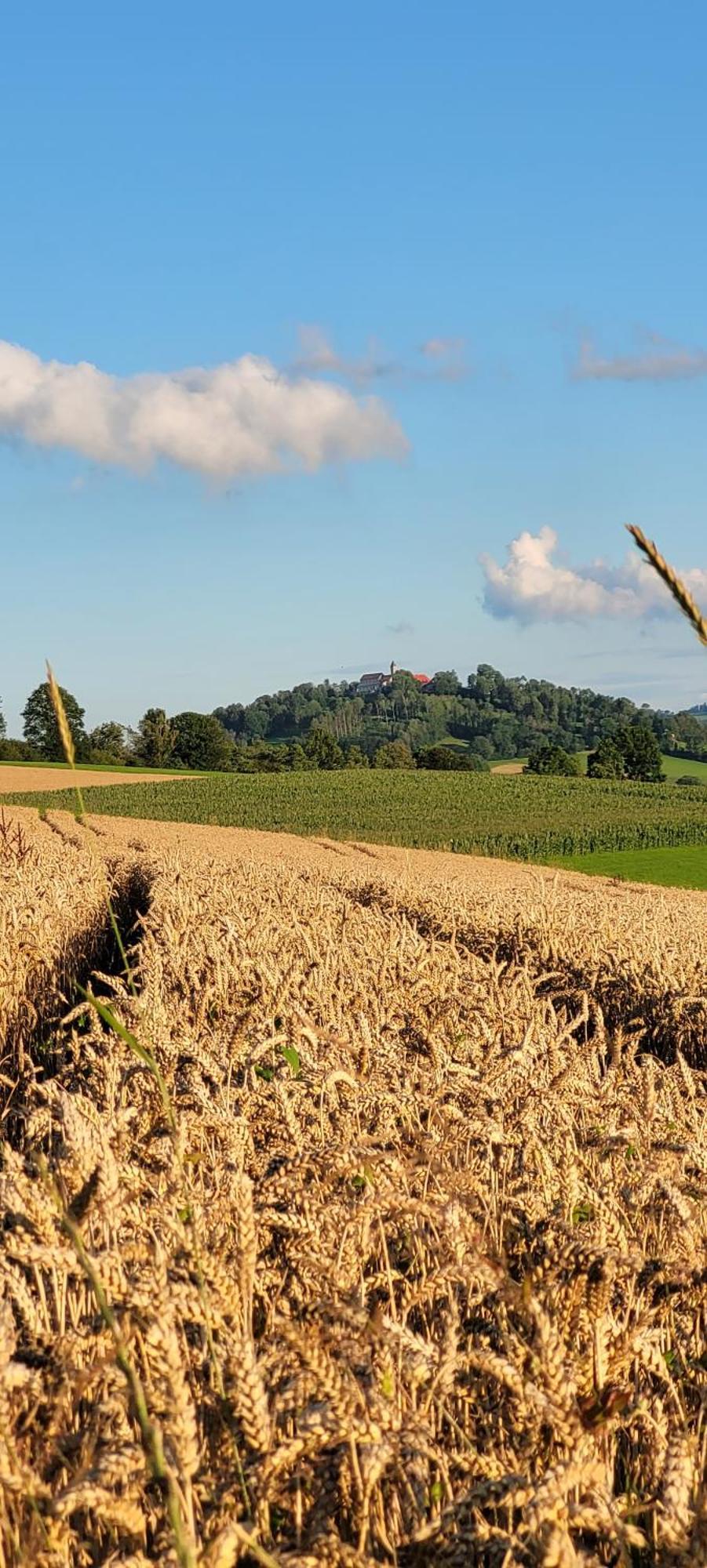 Ferienwohnung Bayerwaldblick Jandelsbrunn Exterior foto