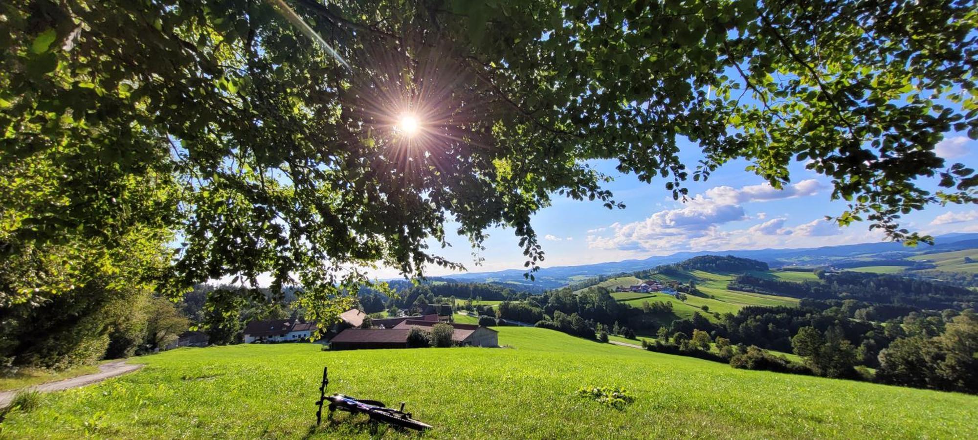 Ferienwohnung Bayerwaldblick Jandelsbrunn Exterior foto